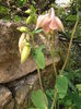 P5060264