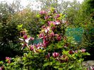 DSC01185