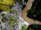 DSC01192