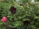 DSC01201