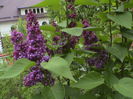 DSC01210