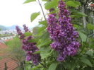 DSC01218