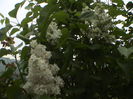DSC01226