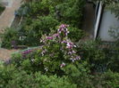 DSC01244