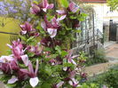 DSC01258