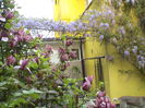 DSC01260
