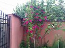 IMG_20150507_073703