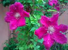 IMG_20150507_073748