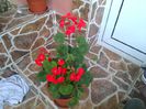IMG_20150506_071902