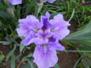 DSCN6297