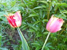 DSCN6270
