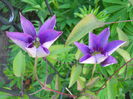 DSCN6285