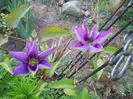 DSCN6286