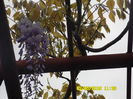 SAM_1898