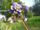 DSCN4245