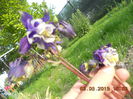 DSCN4246