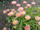 DSCN4249