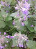 IMG_20150507_162512