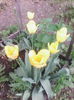 IMG_20150507_082647