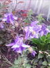 IMG_20150507_065045