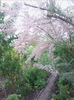 IMG_20150507_064837
