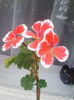 IMG_20150506_075226