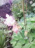 IMG_20150505_081126