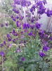 IMG_20150505_081037
