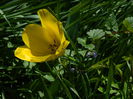 DSCN5950