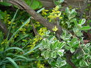 DSCN5980
