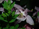 DSCN5999
