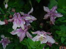 DSCN6008