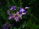 DSCN6017