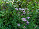 DSCN6020