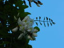 DSCN6043