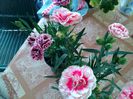 IMG_20150508_103505