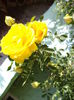 DSC03658