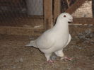 DSC07857