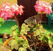 IMG_20150426_144227-1