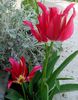 IMG_20150426_144857-1
