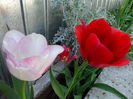 IMG_20150426_144910
