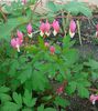 IMG_20150426_145030-1