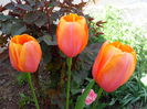 IMG_20150426_145140