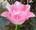 IMG_20150426_145129-2