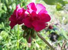 20150508_174748