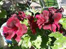 20150508_174734