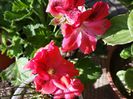 20150508_174720