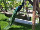 20150508_143230