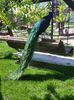 20150508_143223