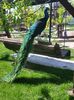 20150508_143219